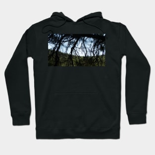 Rottnest 1 Hoodie